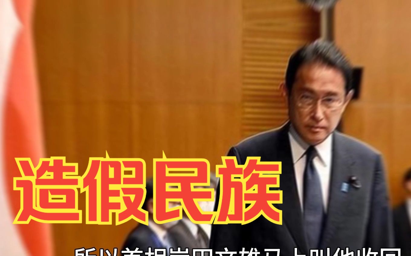 赖岳谦谈东京电力酿祸原因：日本是个造假民族，却装作很诚实