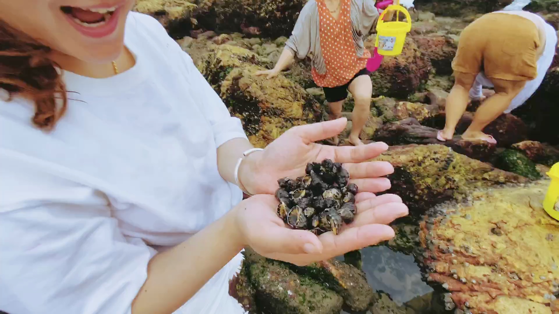 阿辰的赶海日常