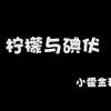 【趣味科学实验】之140柠檬与碘伏第140期 教学解说238个！儿童亲子互动必备选择 少儿手动实验视频