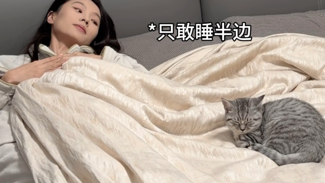 养猫人才懂的小心翼翼