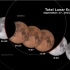 9月28日超级月全蚀-来自NASA
