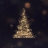 AE模板-高端大气圣诞节祝福片头展示 Christmas 29648559