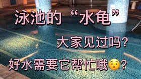 23446f6496356b34ac718b26ca1f8067cd7ed4d5.jpg@280w_158h_1c_100q.jpg