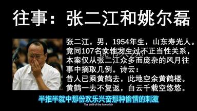 五毒书记：张二江和姚尔磊的故事