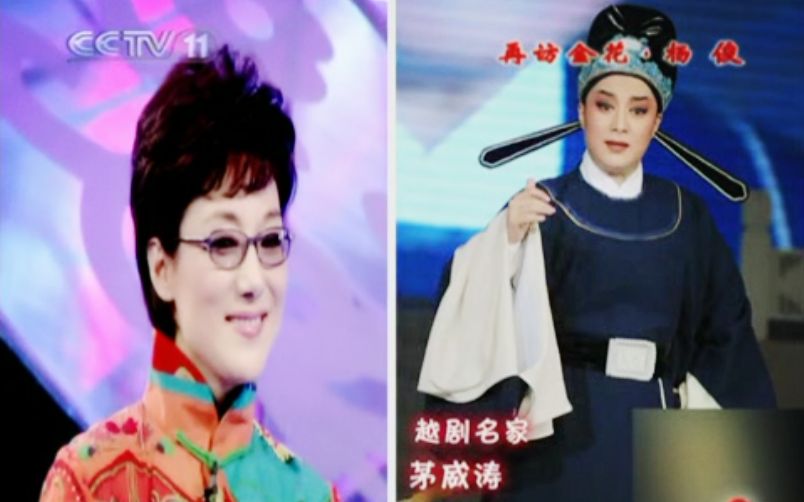 【黄梅戏】杨俊谈黄梅戏,提到越剧和茅威涛(高清)