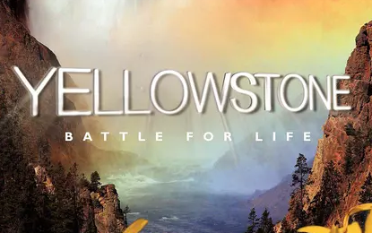 【纪录片/BBC】黄石公园 Yellowstone（2009）