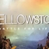 【纪录片/BBC】黄石公园 Yellowstone（2009）