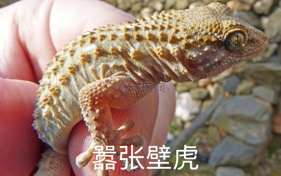 活动作品这就是私信99加的财富密码