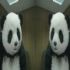 【毫无鬼畜】PANDA ZONE<熊猫领域>