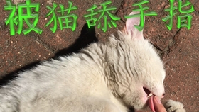 23bcbaedbdc8ed58a3cd1d9fc309ba5f81dbfd81.jpg@280w_158h_1c_100q.jpg