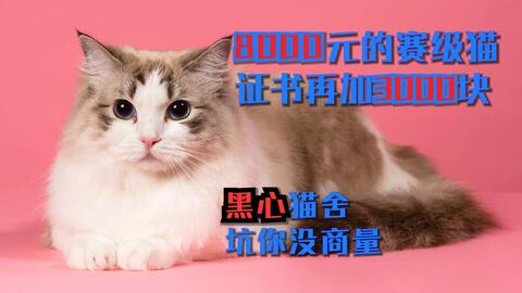 23bf8bc19f2fefec10dab12a8eb98c3dc49e7130.jpg@480w_270h_1c