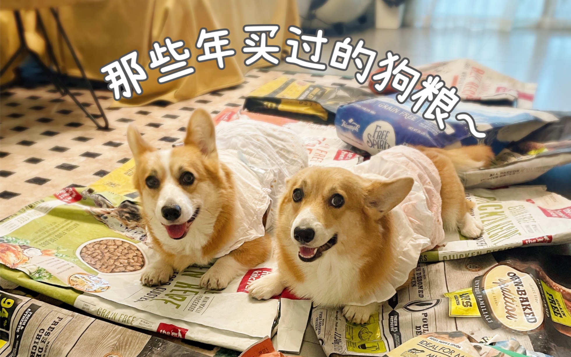 养狗3年都买过哪些狗粮？出现不代表推荐哈！