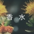 香水 ／ 瑛人(cover) by 天月
