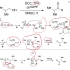 福山机理B014，演习で学ぶ+有机反応机构，福山+透. Pfitzner-Moffatt oxidation