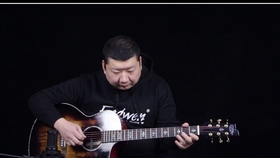 宋冬野鸽子吉他曲谱_鸽子宋冬野(3)