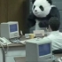 国外经典bao力熊猫牛奶广告，永远不要对熊猫说不，哈哈哈！
