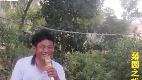 王华买爹全集评书,王华买爹全集评书在线收听