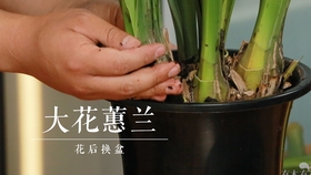 23fcbcc8a50bc7c4320867fe8c184d75f2d50774.jpg@280w_158h_1c_100q.jpg
