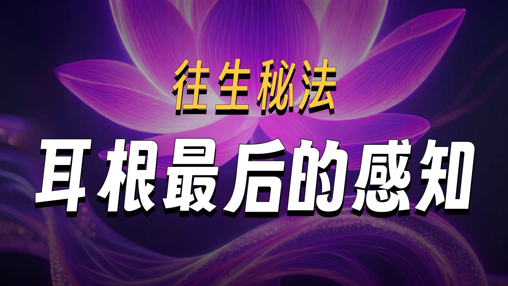 体佛法师开示：临终五根败坏 怎么才能往生？