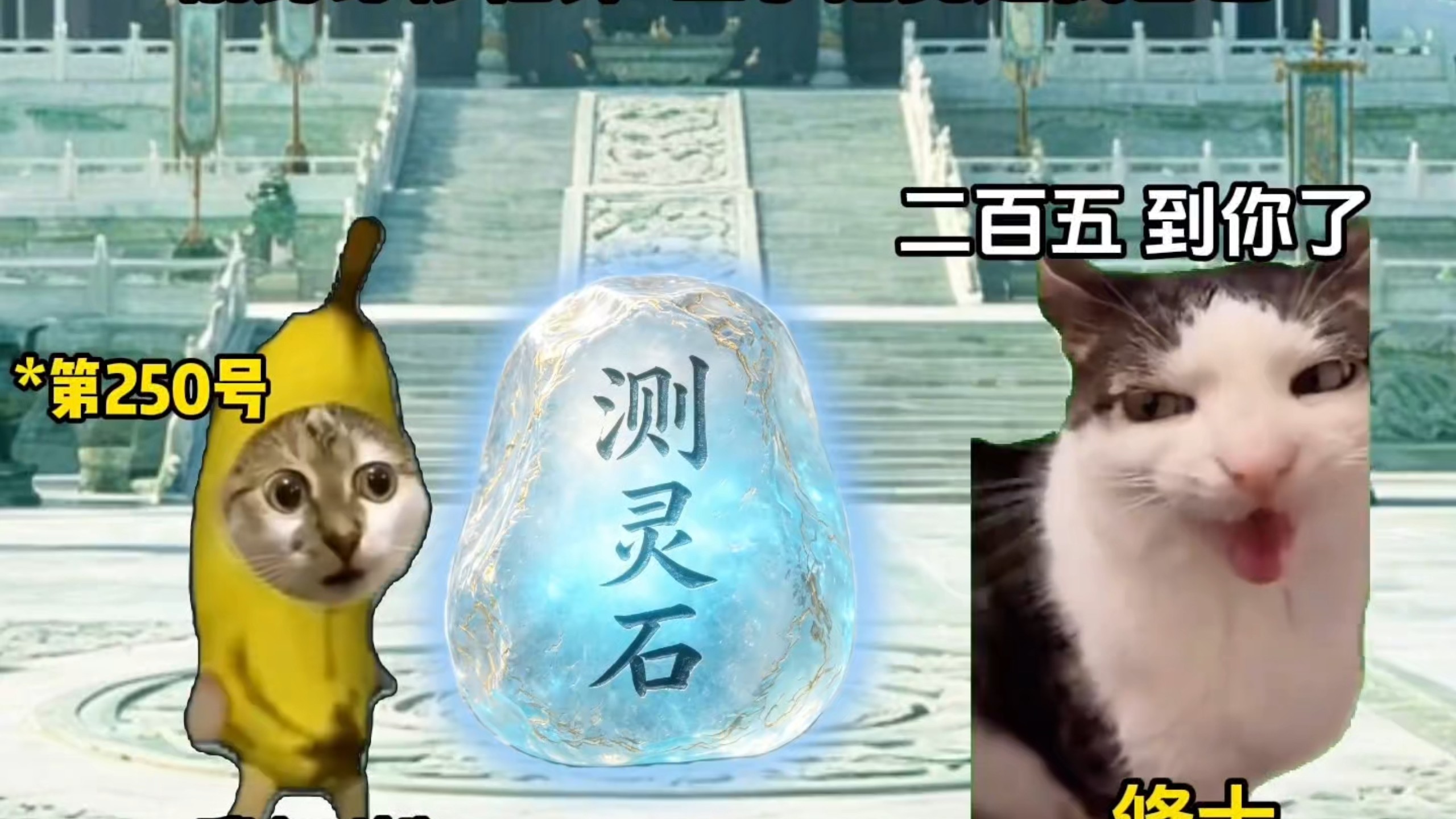《奇修师妹》第一集 #猫 #猫meme小故事