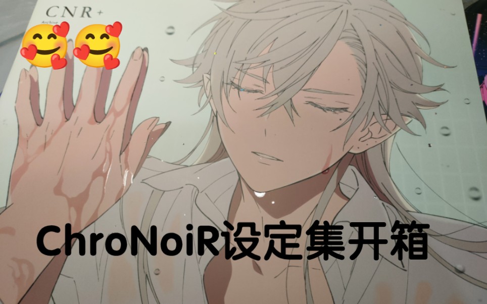 【开箱自存】ChroNoiR 旧设定集CNR+-哔哩哔哩