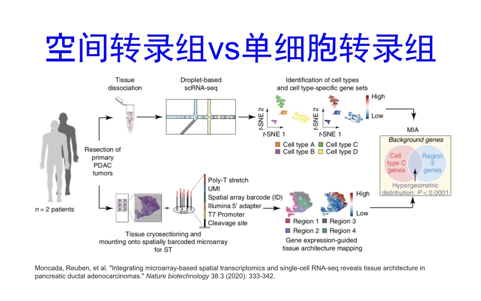 Spatial Transcriptomics Vs Scrna Seq Bilibili