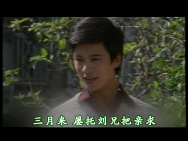 越剧赵志刚专辑