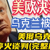 美欧决裂 乌克兰被卖：美俄乌克兰停火谈判（完整版