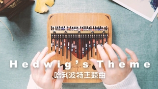 关于哈利波特主题曲谱_哈利波特主题手抄报(4)