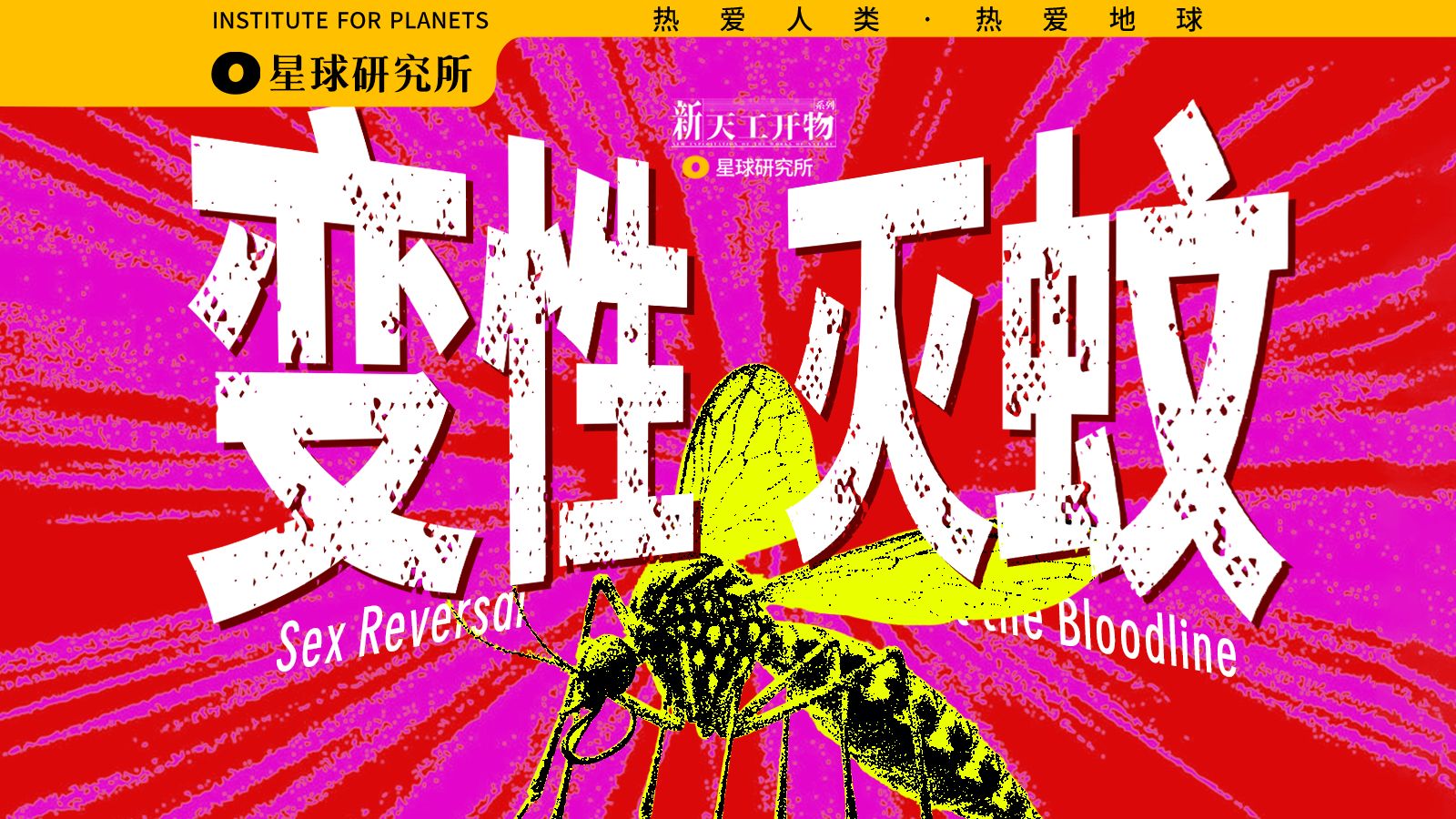 我们拍到了蚊子的变性手术！