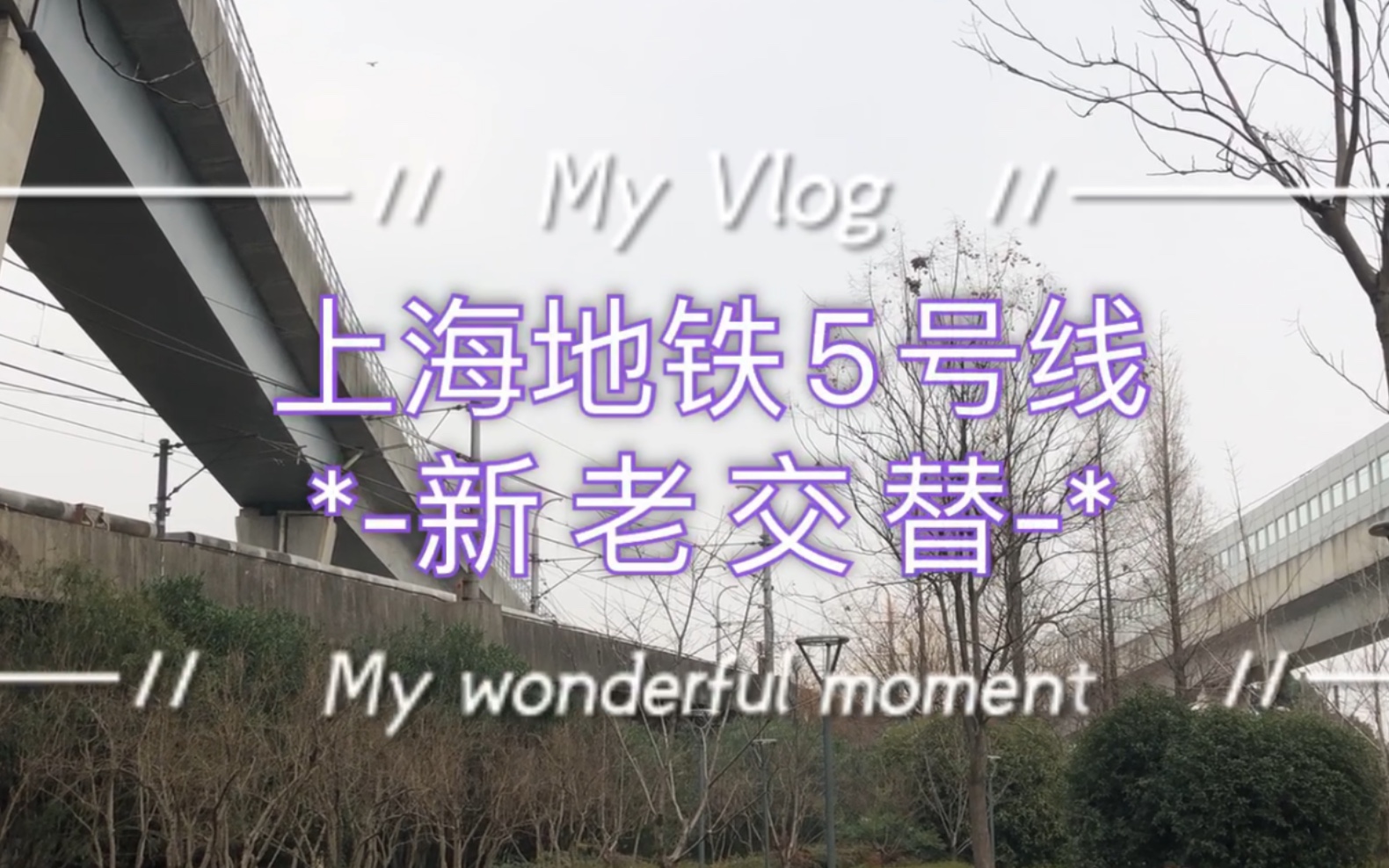 上海地铁列车交汇5号线番茄炒蛋与紫罗兰交汇随拍