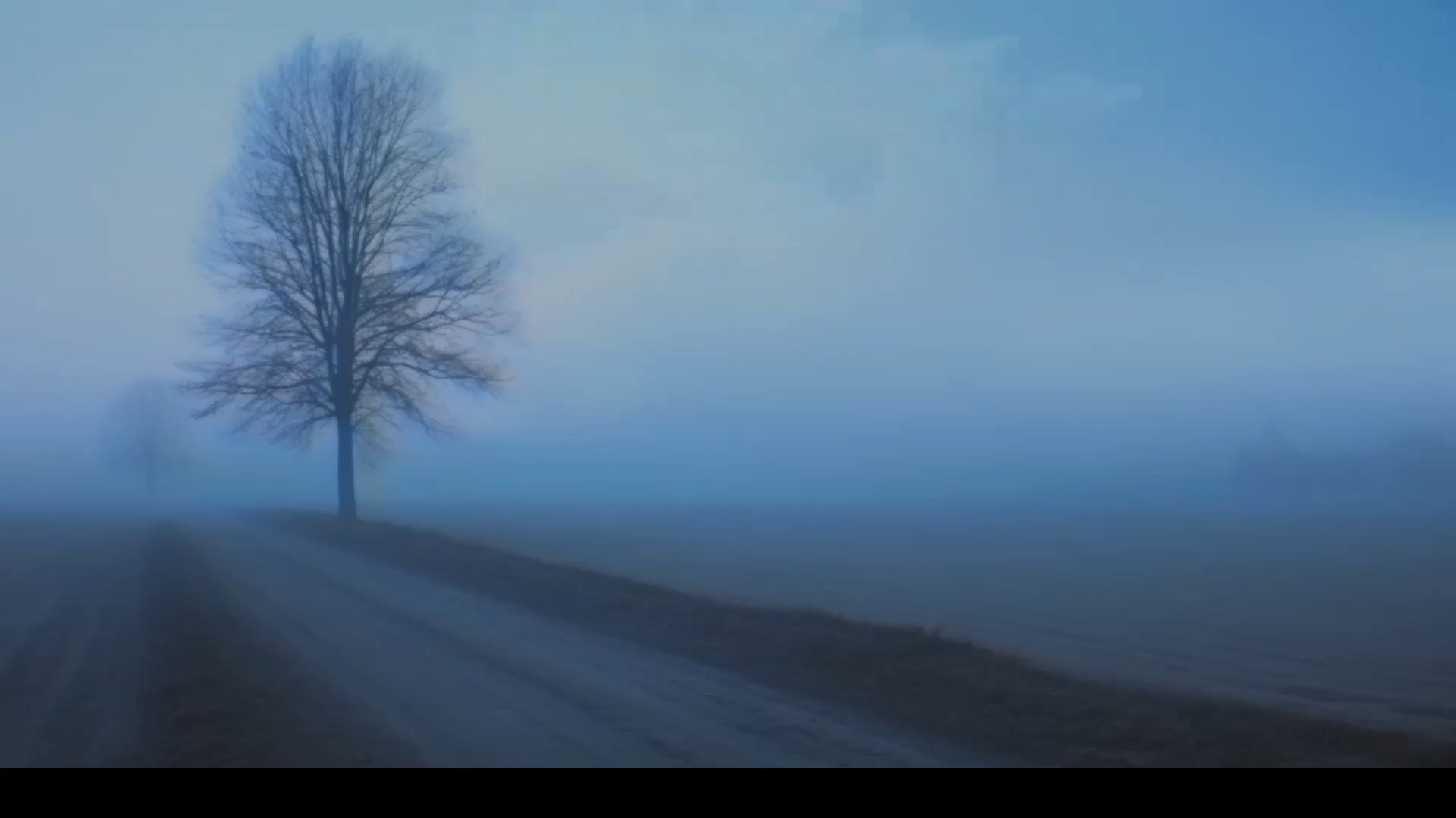 【梦核实验室】008-深秋-清晨，空气中还残留着烧秸秆的烟