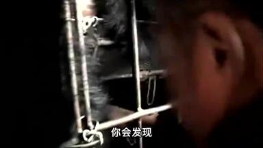 30厘米长管插入胆囊，<em class="keyword">活熊取胆</em>如此残忍，为啥屡禁不止？ #<em class="keyword">活熊取胆</em> #残忍 #科普 #科普知识 #保护动物 (1)