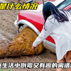 盘点生活中倒霉又有趣的离谱瞬间，美好的一天从把事情搞砸结束