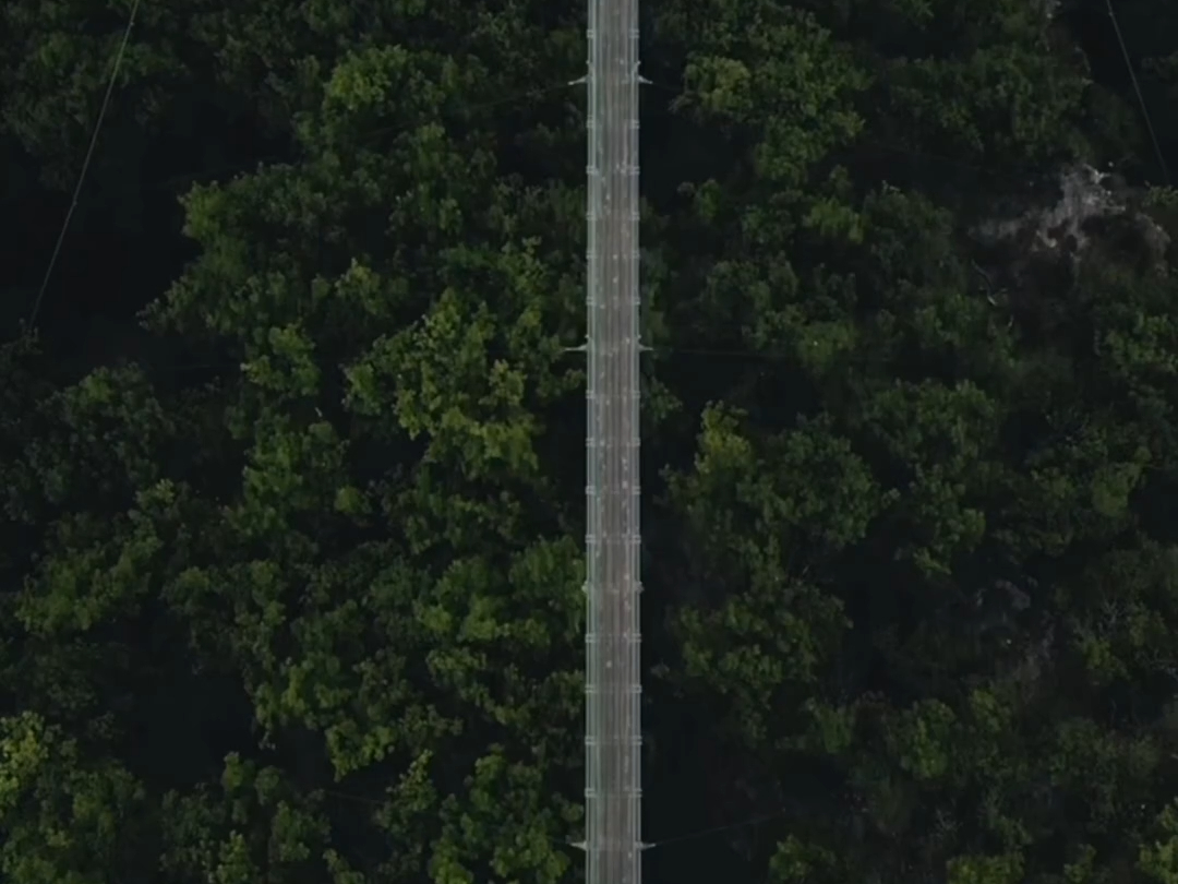 德国 | 盖尔雷悬索桥 | 被称为“死前必去”的景点