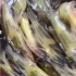 黄颡鱼苗是鲿科、黄颡鱼属一种常见的淡水鱼。