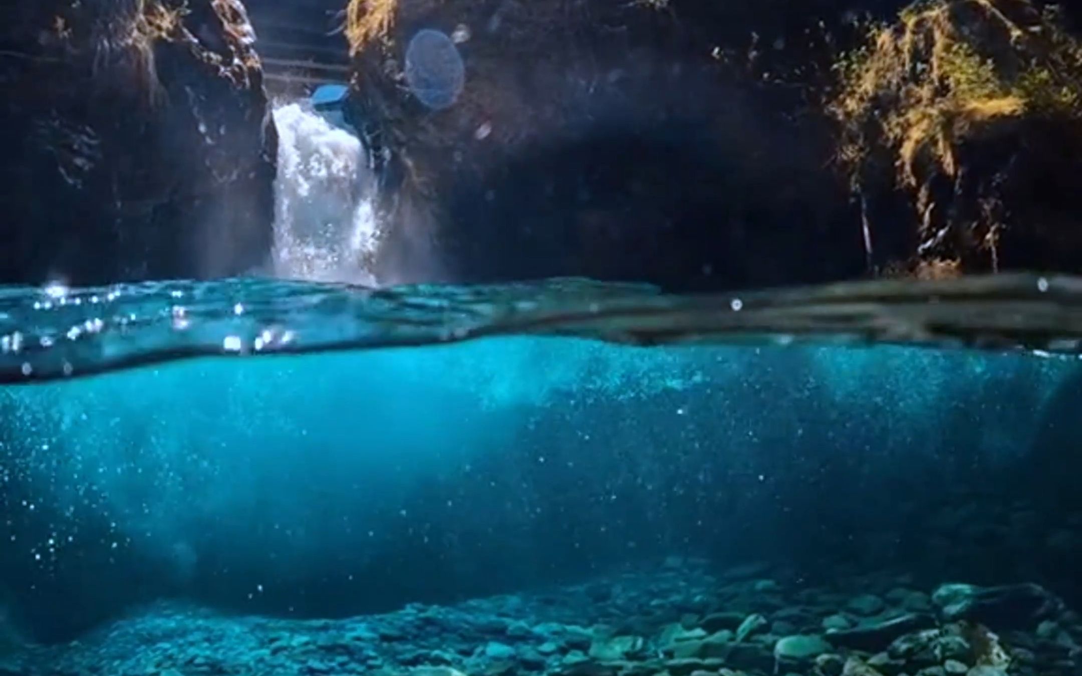 “这大概就是美到窒息的感觉了吧”