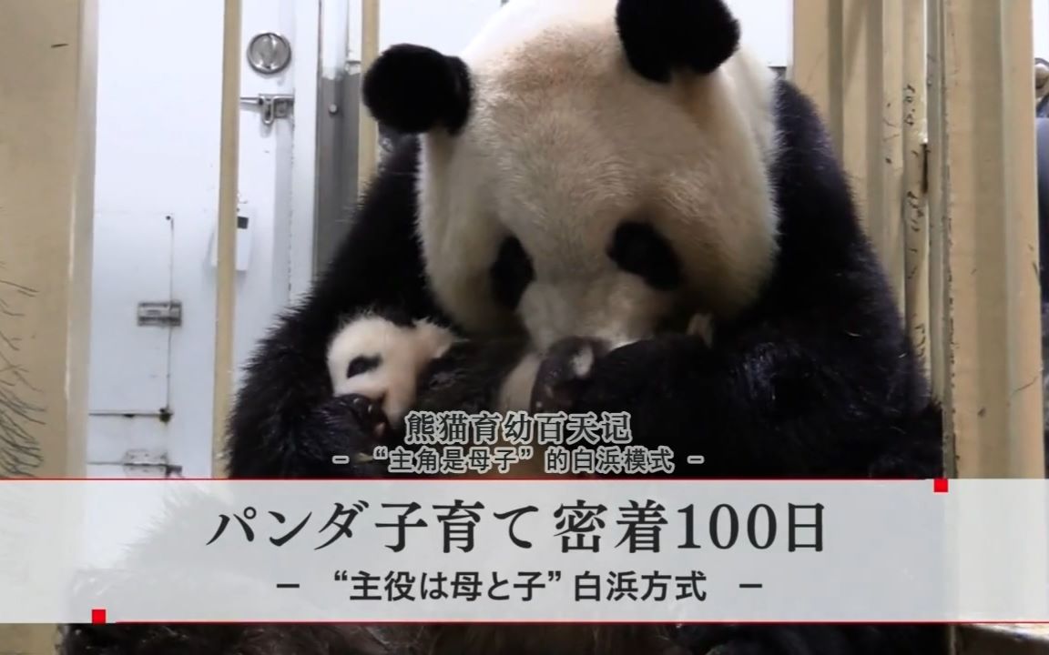 动物圈 2017-01-14 16:01[诸神字幕组[中日双语字幕[nhk纪录片]