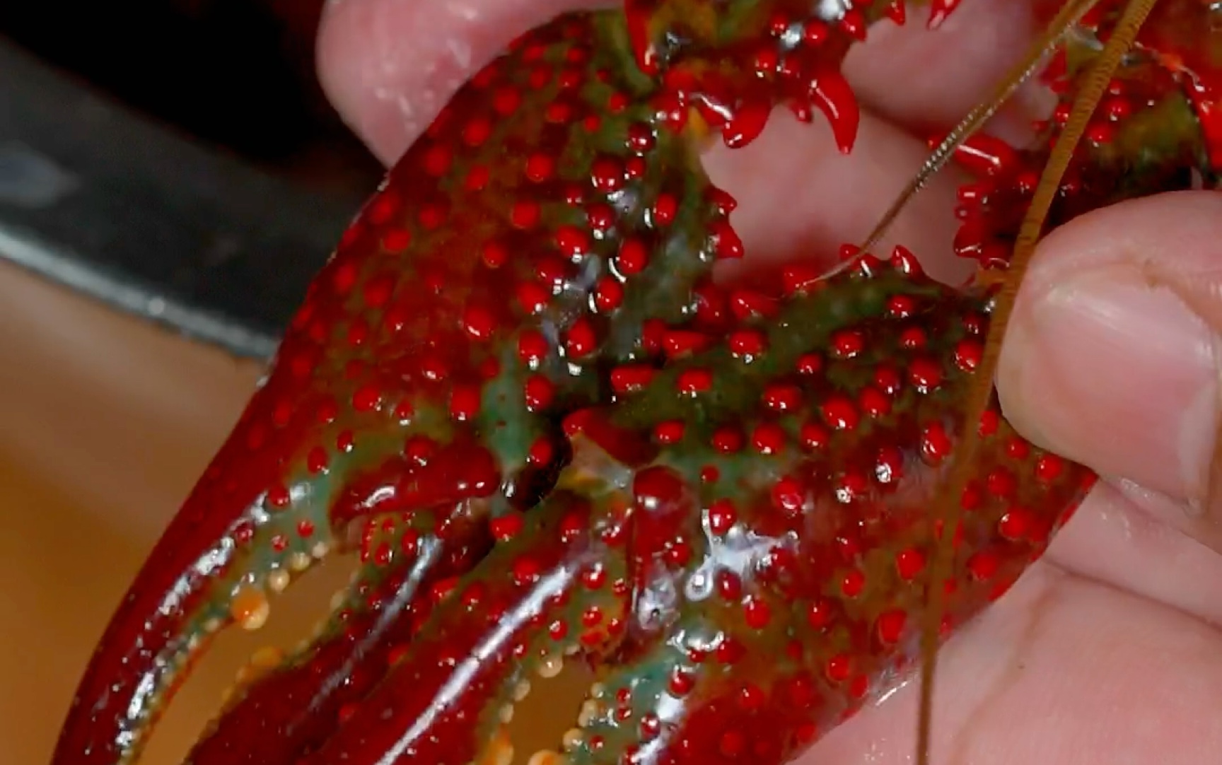 小龙虾怎样清洗？哪些能吃，哪些不能吃，你真的知道吗？