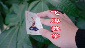 大米怎么做成爆米花 2579cd1084fc6fb08e1af4545ba6af5b3e52c5d4.jpg@280w_158h_1c_100q.jpg