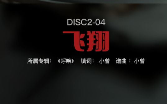 【黑胶CD翻录】DISC2-04《飞翔》屠洪刚
