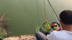 大家怎么收作业 2587ac69c7dfb75d0994d1ead9fdd2e459baa53e.jpg@280w_158h_1c_100q.jpg