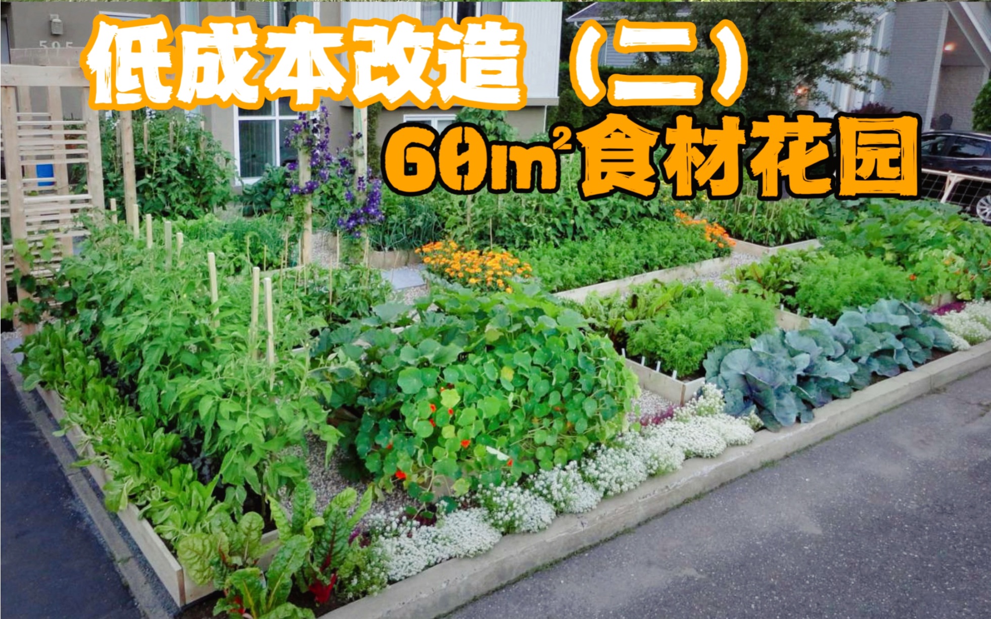 300元搞定了整个花园排水❗低成本改造食材花园第二期❗