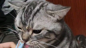 259bf0b3d560b9aad71c0f4c88392bad8ad45489.jpg@280w_158h_1c_100q.jpg