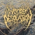【狂热金属】澳大利亚黑金属乐队WOODS OF DESOLATION最新单曲|The Falling Tide