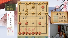 中国象棋人口_小论象棋中炮的重要性