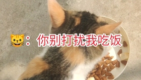 25dc4116bb8338f943006898dc0a256c44031085.jpg@280w_158h_1c_100q.jpg