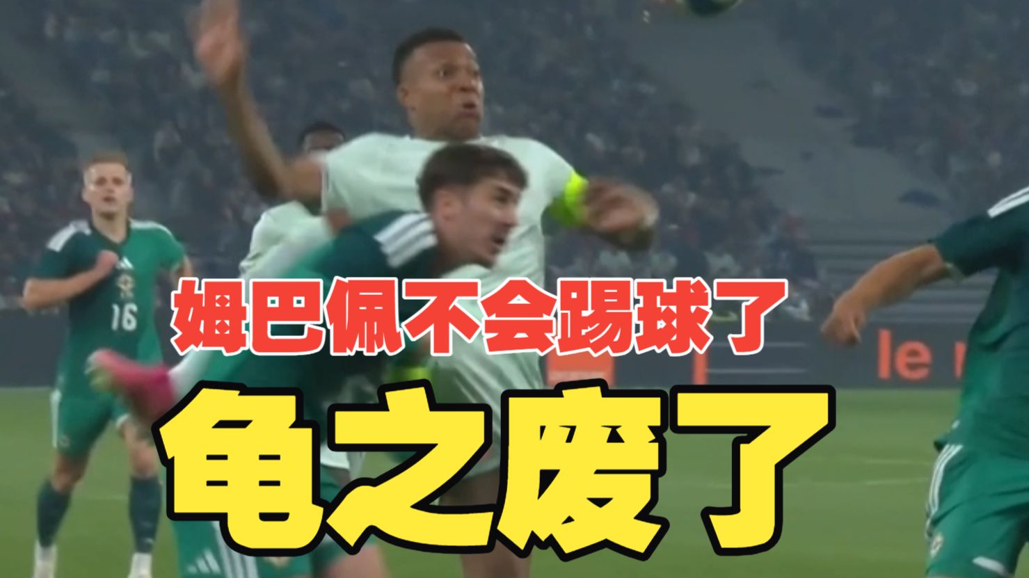 龟之废了专题封面