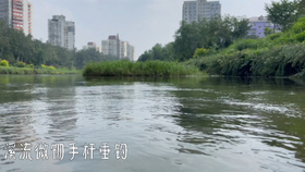 溪流钓鱼视频全集 2605afd5007dcf9b457c4e6e4dd227092666e97c.jpg@280w_158h_1c_100q.jpg