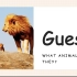 Guessing Game (wild animals)